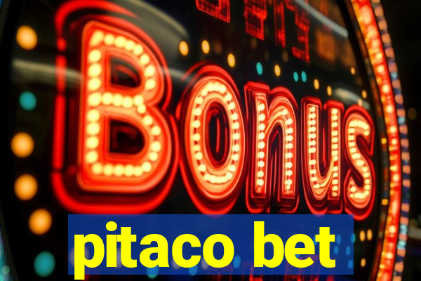 pitaco bet